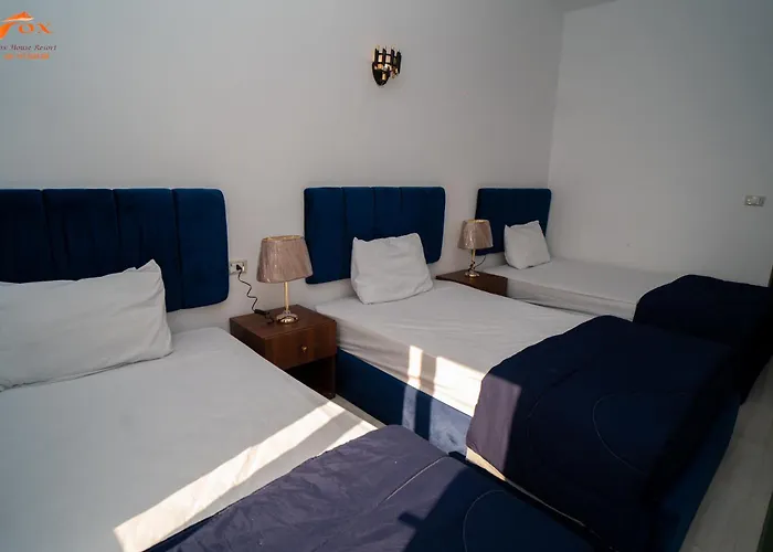 Fox Sahel Aqua Elgouna& Kite