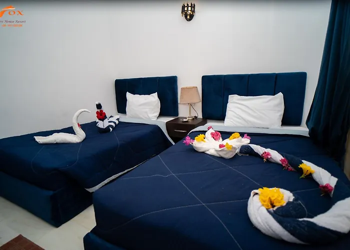 Fox Sahel Aqua Elgouna& Kite *